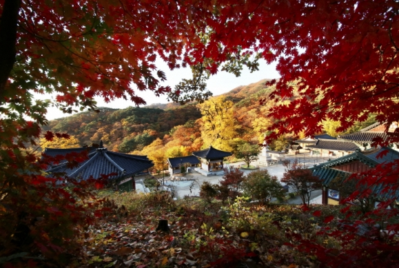 가을의 풍경, 양평