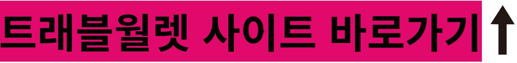 트래블월렛 사이트 바로가기