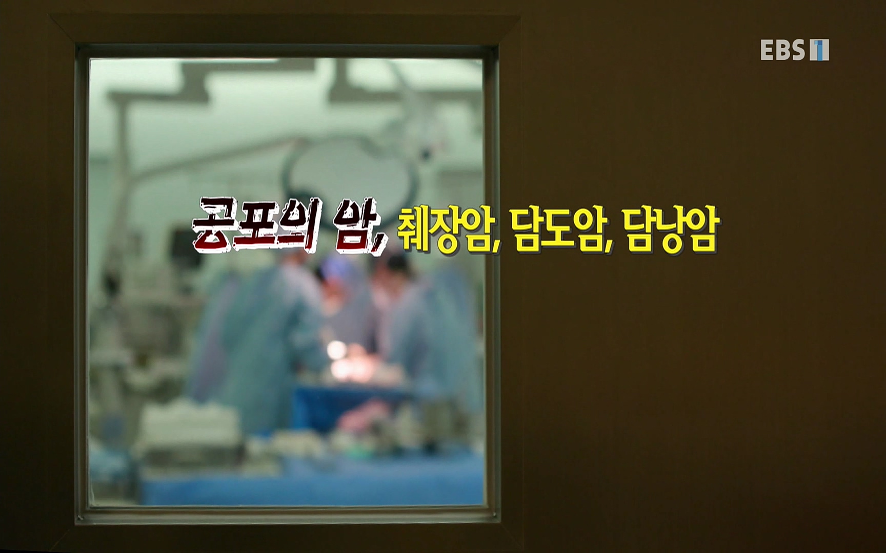 EBS 명의 헬스케어 - TV - 교육의 중심 EBS[명의 스페셜] 공포의 암, 췌장암, 담도암, 담낭암.mp4_20220902_202515.230.jpg