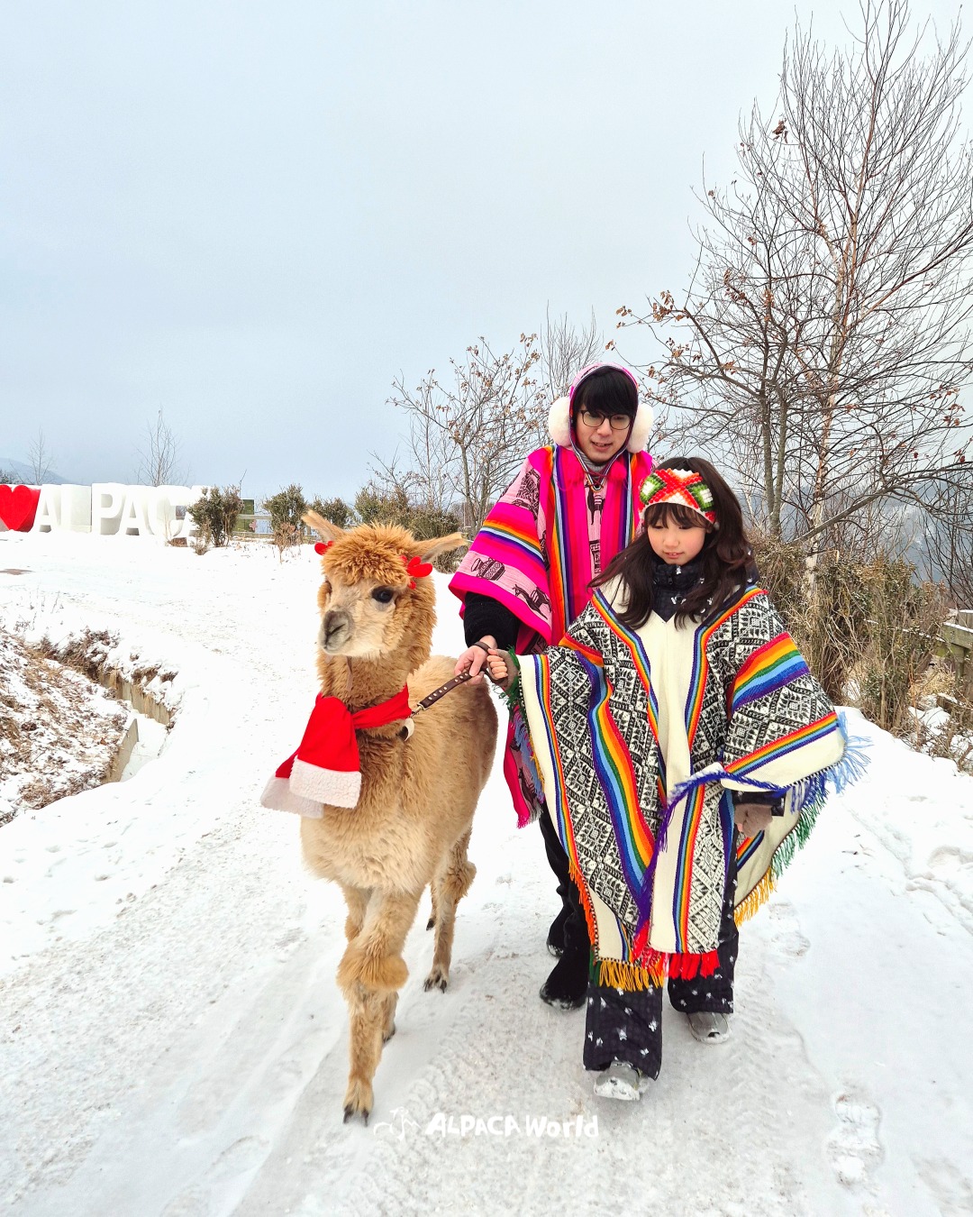 알파카 월드 내부