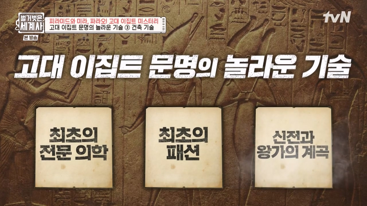 벌거벗은 세계사.E91.230322p-NEXT.mp4_20230422_182506.414.jpg
