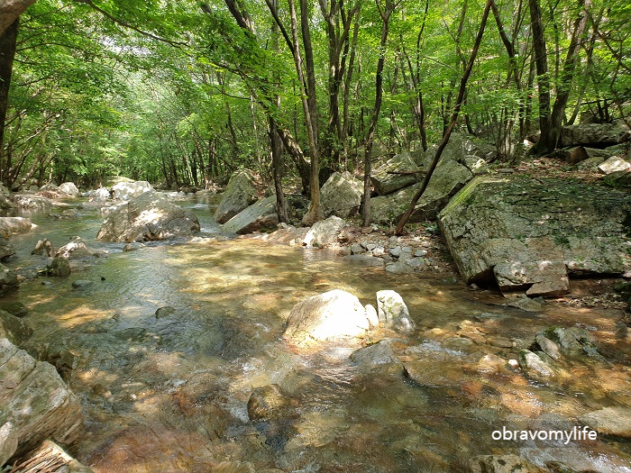 유명산 계곡