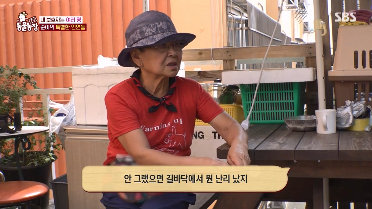 TV 동물농장.E1143.231030p-NEXT.mp4_20231029_162351.443.jpg