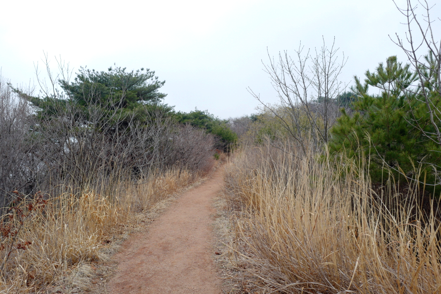 경기 양평 가평 여행 유명산 등산 mountain hiking