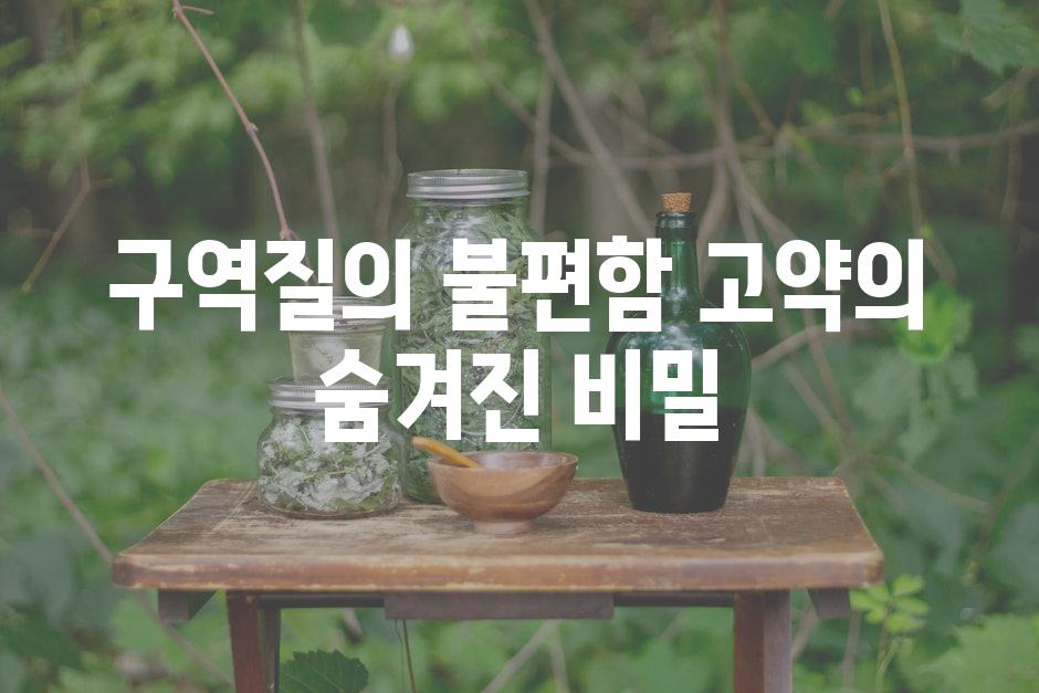 구역질의 불편함 고약의 숨겨진 비밀