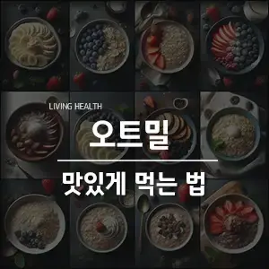  오트밀 맛있게 먹는 법