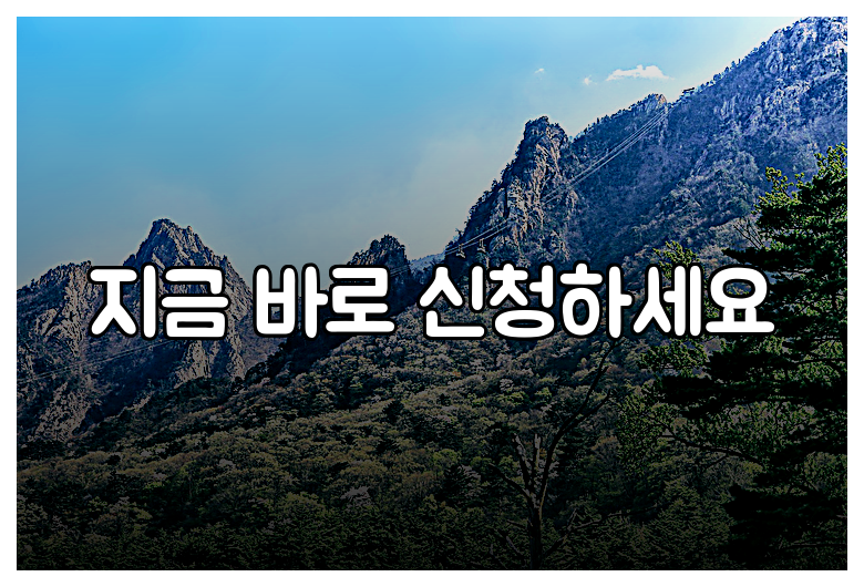 지금 바로 신청하세요