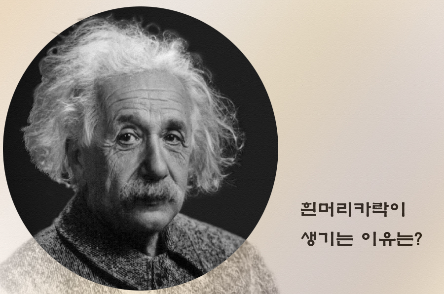  흰머리 생기는 이유와 탈모에 좋은 것