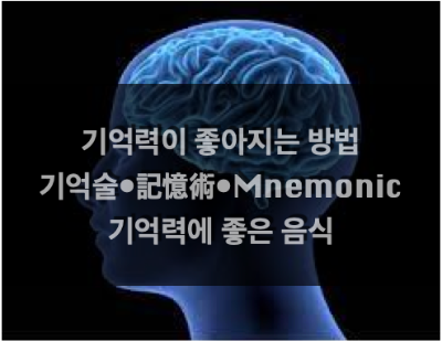  기억력을 키우자! : 기억술 기본원칙, 기억력 높이는 방법, 기억력에 좋은 음식