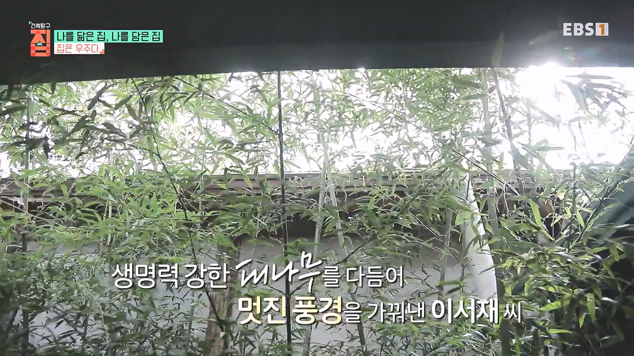 TV - 전 국민의 평생학교 EBS나를 닮은 집, 나를 담은 집.mp4_20240106_171300.723.jpg