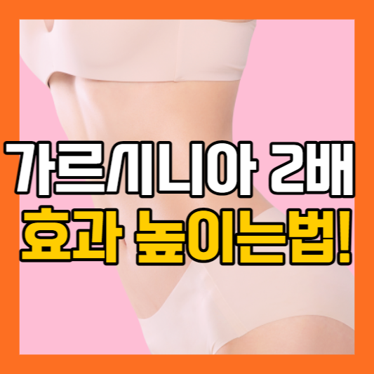 가르시니아 효과높이는법