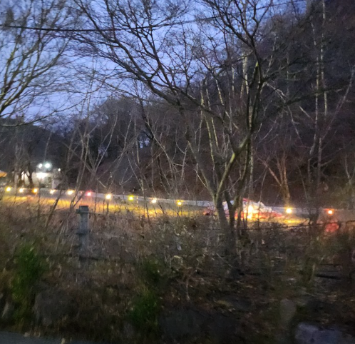 산호가든농원 3