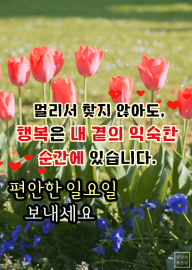 일상 속 행복을 다시 돌아보게 하는 예쁜 좋은글 이미지