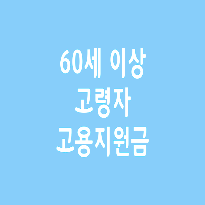  60세 이상 고령자 고용 지원금