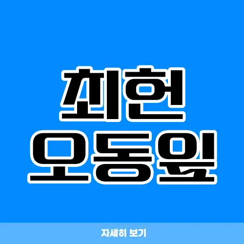 최헌 오동잎