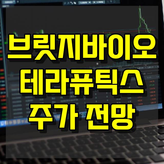 브릿지바이오테라퓨틱스 주가 전망