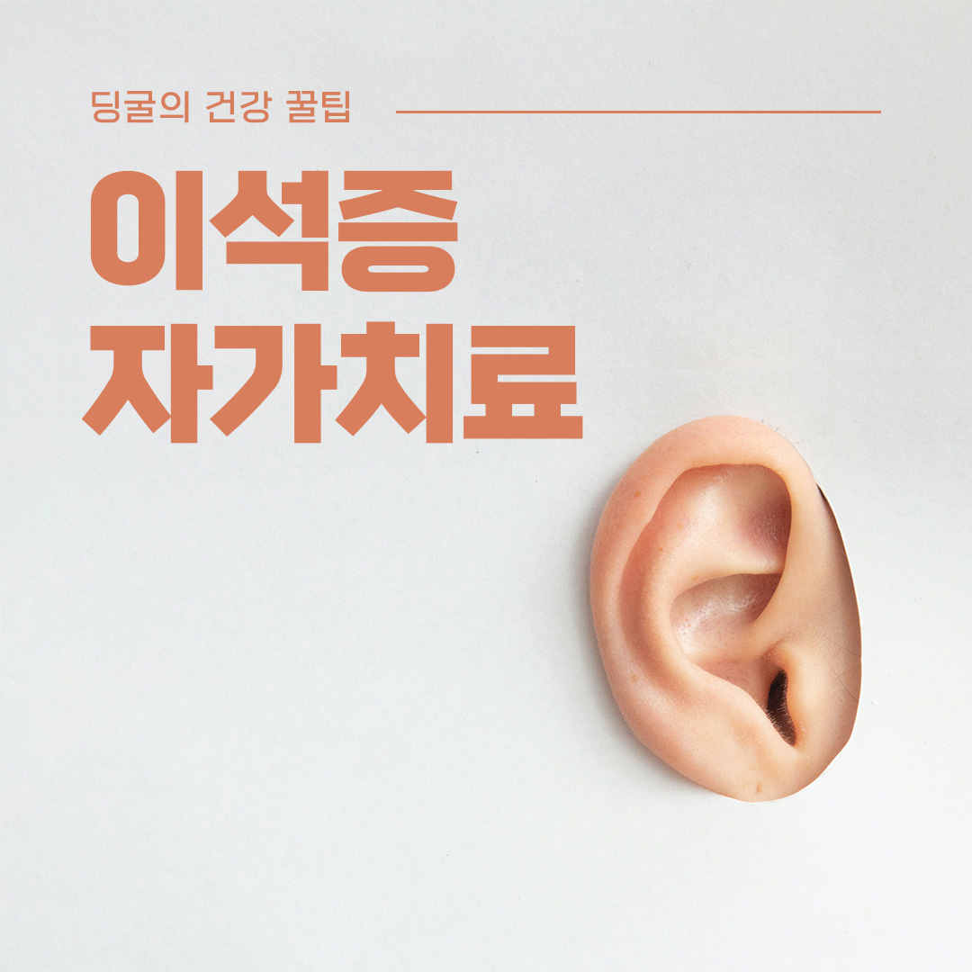 직접 해보고 효과본 이석증 자가치료 방법 추천
