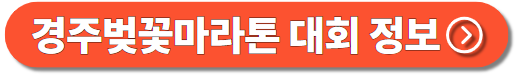 대회정보
