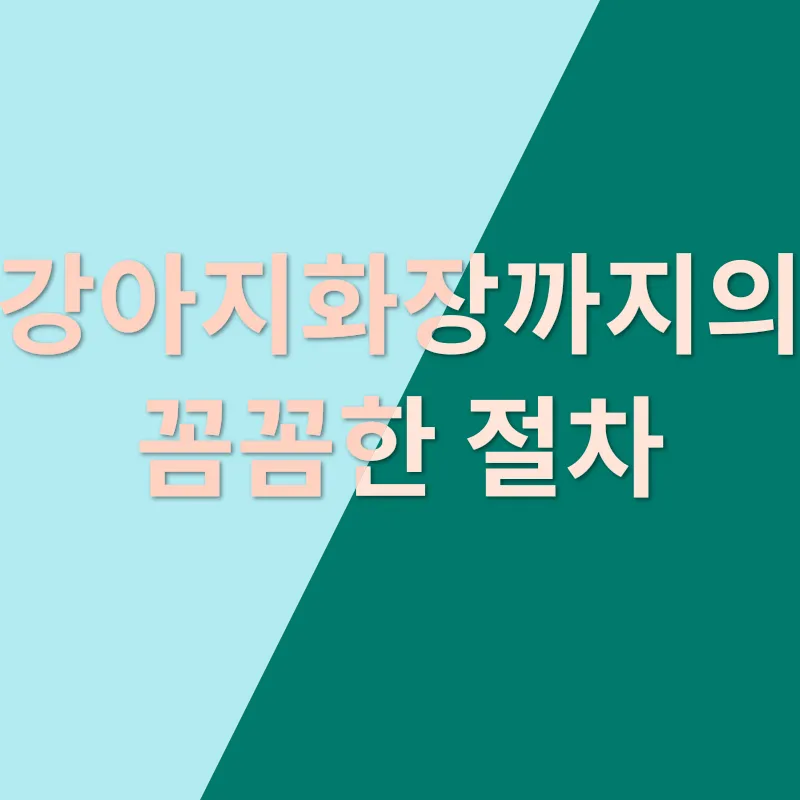 반려동물장례_2