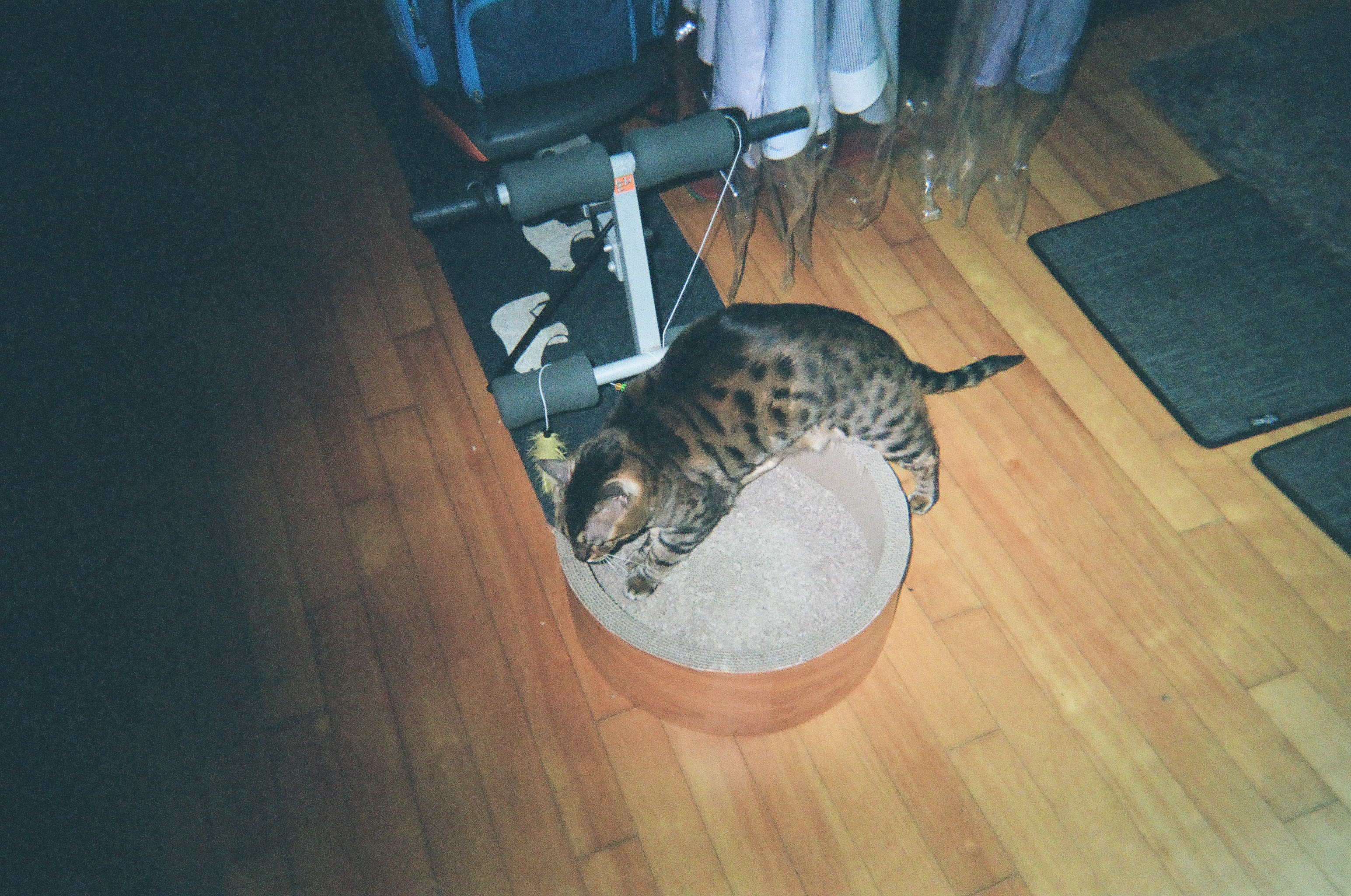  서핑에 관한 고찰