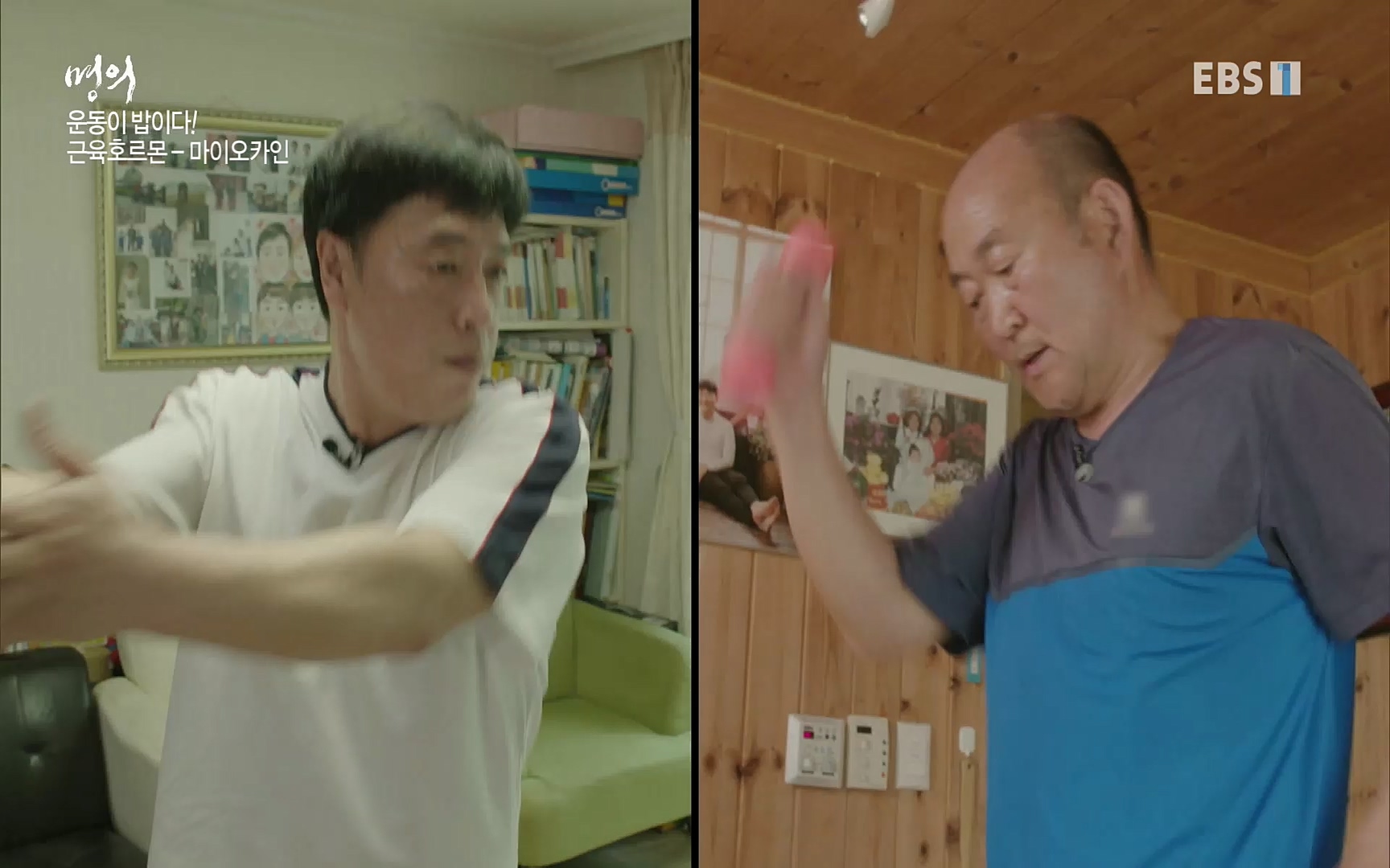 EBS 명의 헬스케어 - TV - 교육의 중심 EBS내 몸을 지배하는 7가지 호르몬 3부, 운동이 밥이다! .mp4_20220711_202508.133.jpg