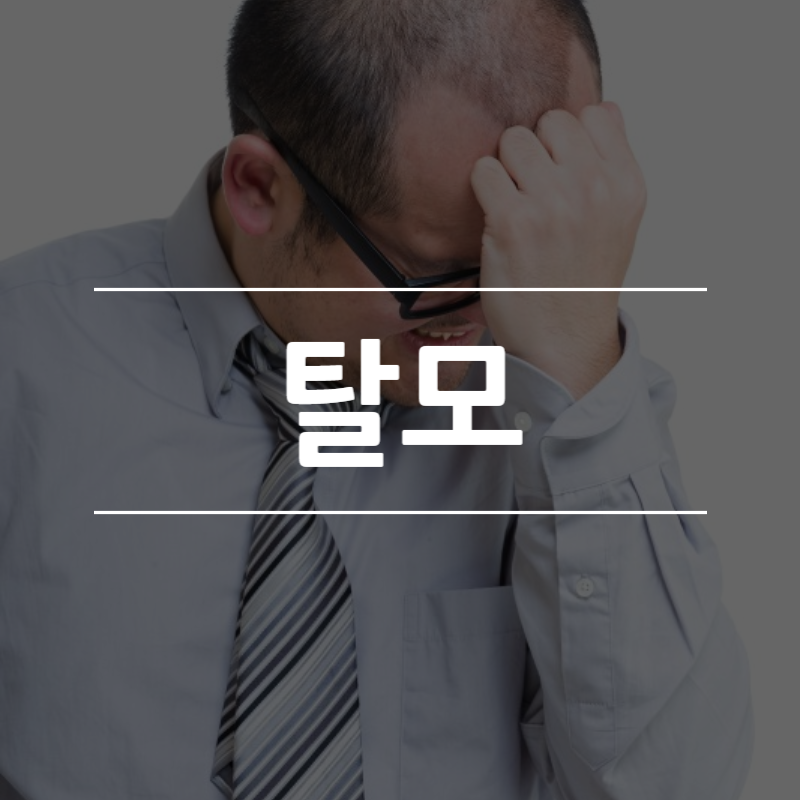  탈모에 좋은 음식 7가지