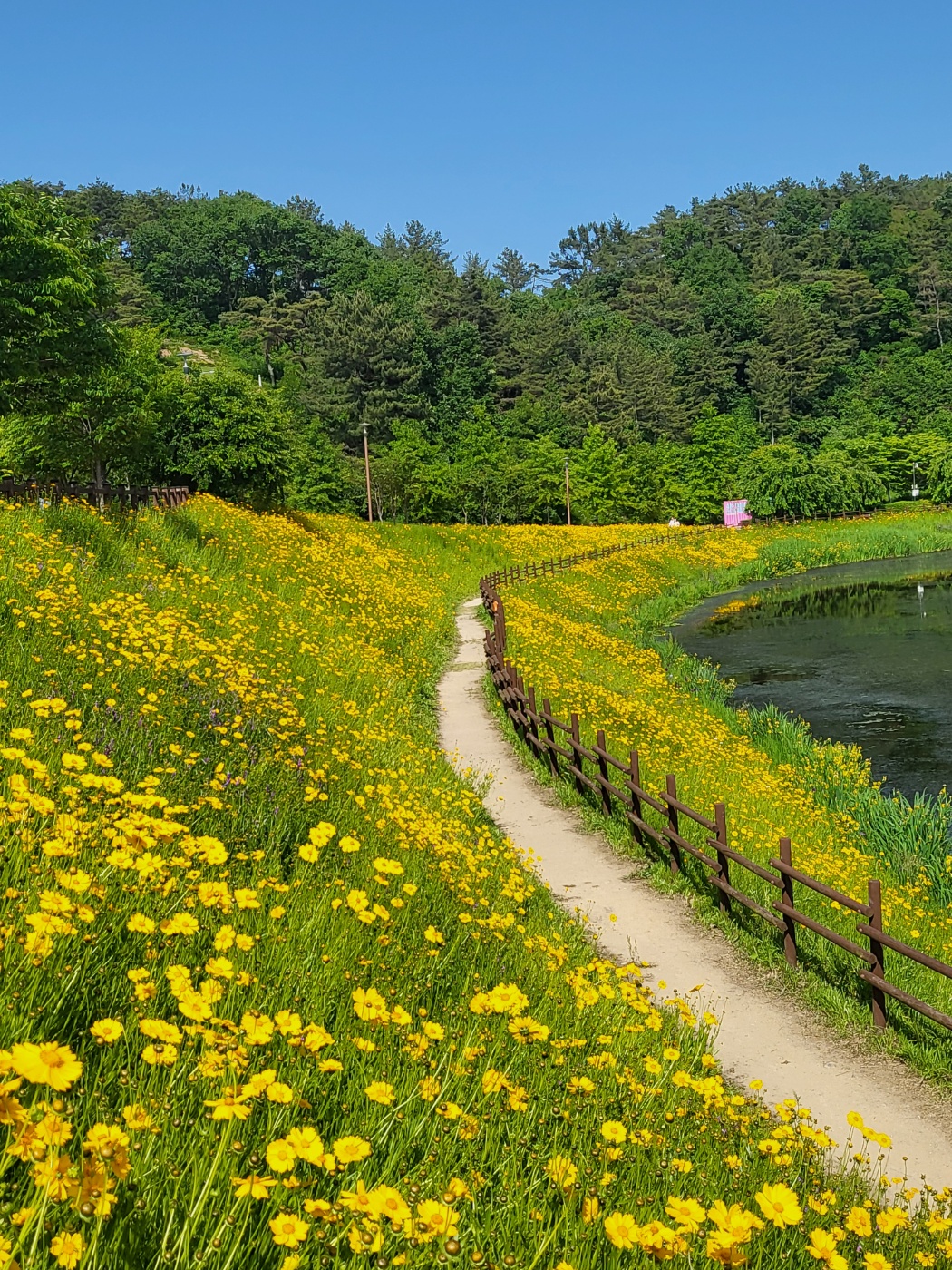 악양생태공원 