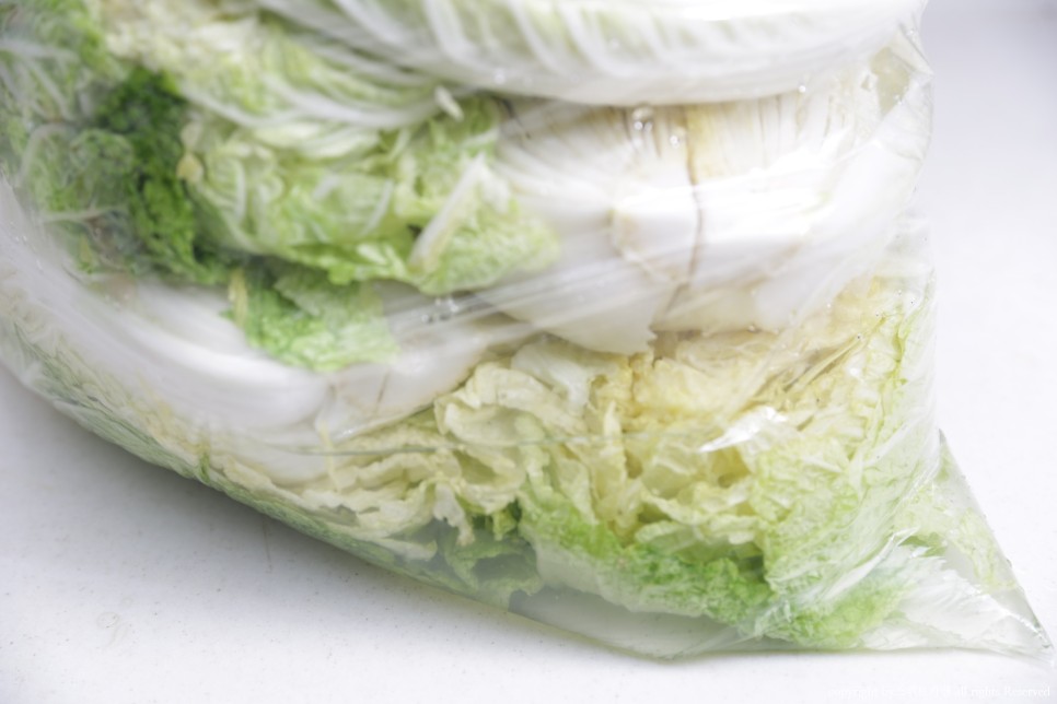 짠맛 김장봉투로 간단하게 속이 꽉 찬 배추절임 배추절임 시간 4