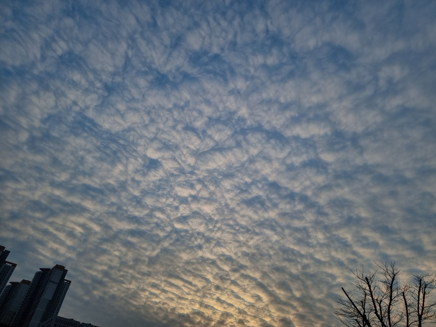  금연 2달 차