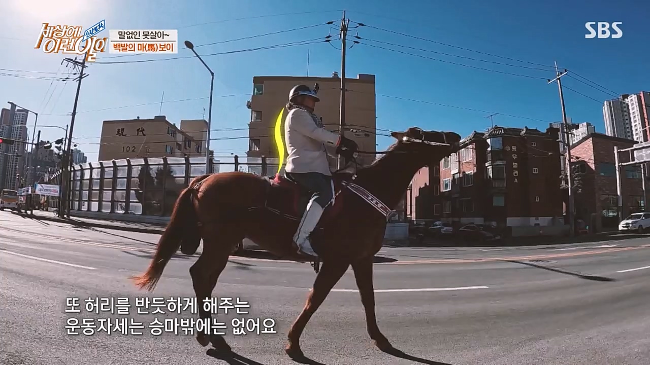 순간포착 세상에 이런일이.E1216.230208p-NEXT.mp4_20230208_194159.904.jpg