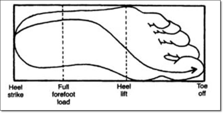 정상적인 발 상태에서의 발에 나타나는 체중이동 경로