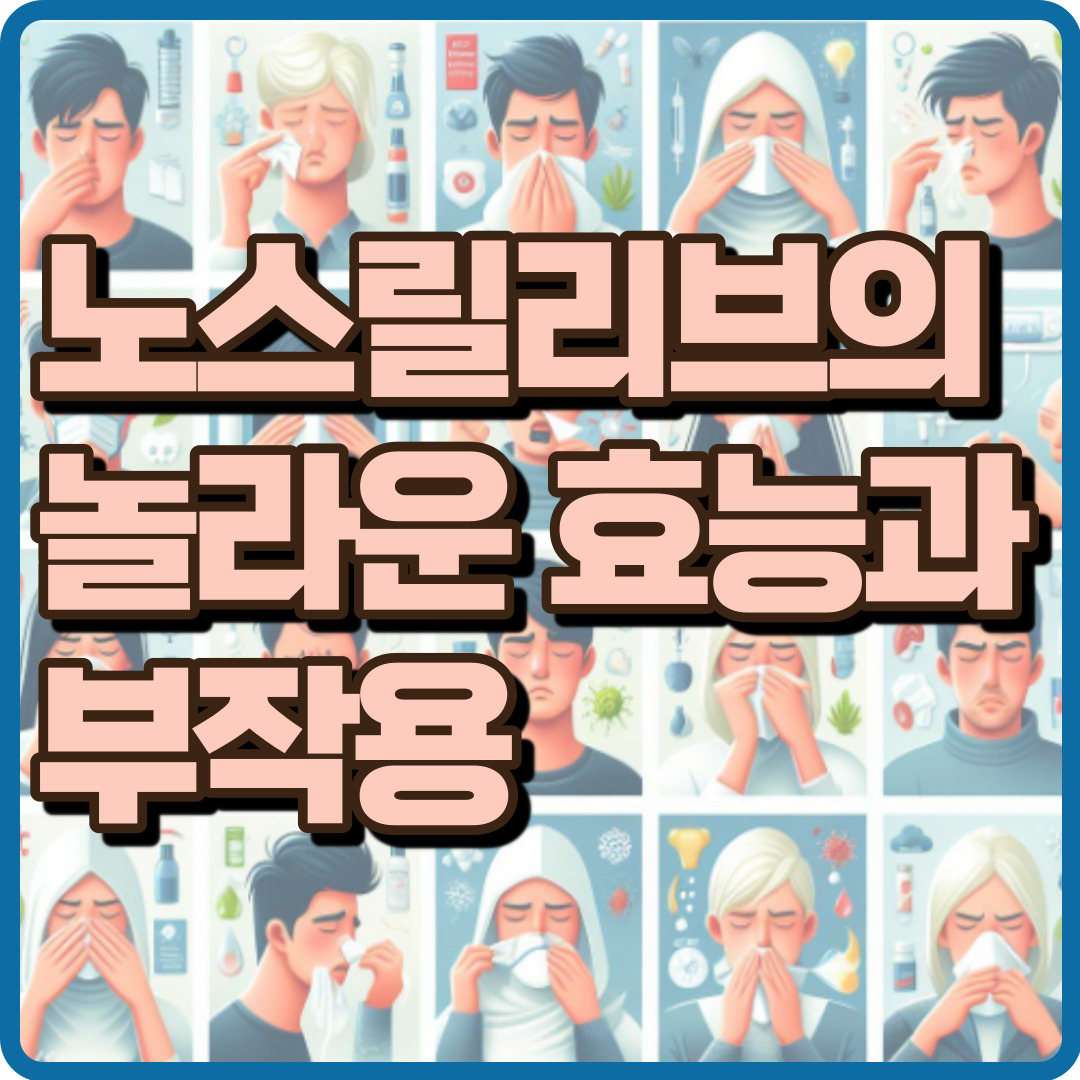 노스릴리브의 효능과 부작용