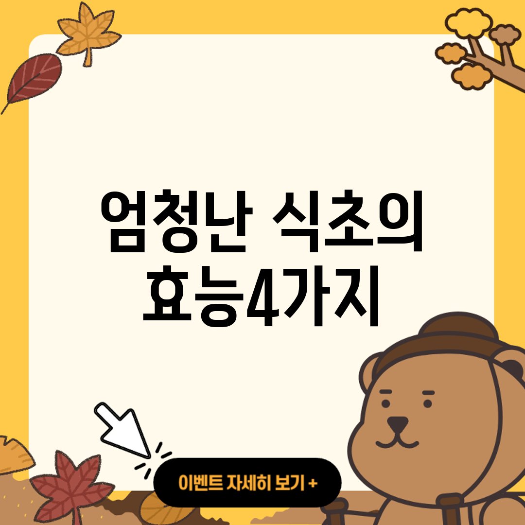 엄청난-식초의-효능4가지