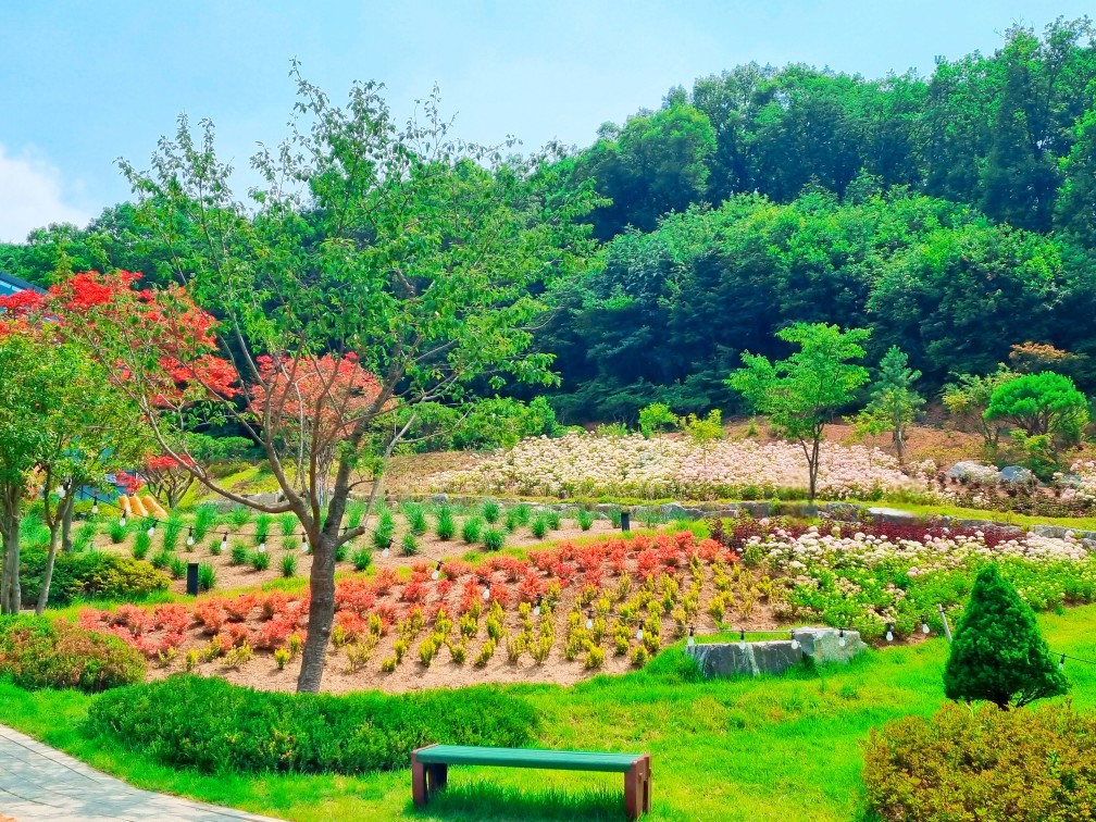 경기도 시흥 산골수목원: 연분홍 수국이 있는 식물원 카페