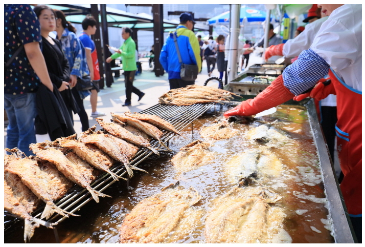 전국수산물축제일정