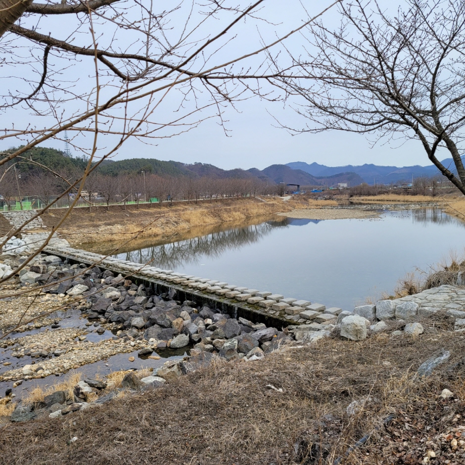 경천애인 징검다리길