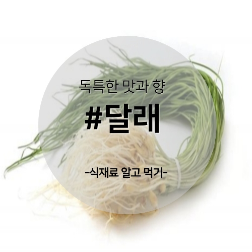  알고 먹기 53. #달래