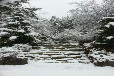 산음자연휴양림 예약 가이드: 숲나들e로 손쉬운 예약 방법 체크포인트
