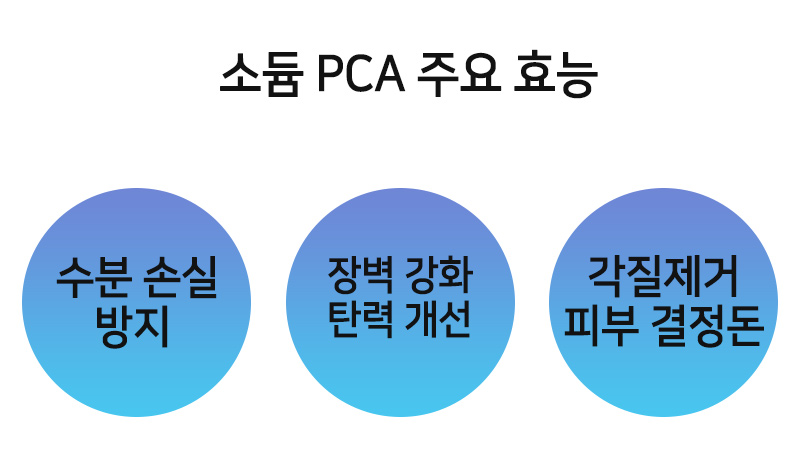 소듐 PCA 효능 효과