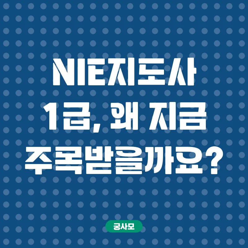 NIE지도사_1