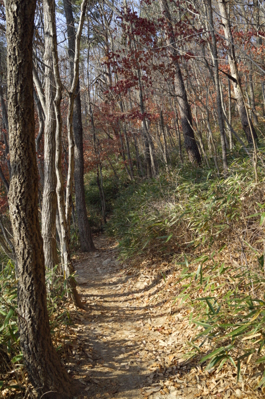 한국 명산 전북 부안 여행 내변산 등산 mountain hiking