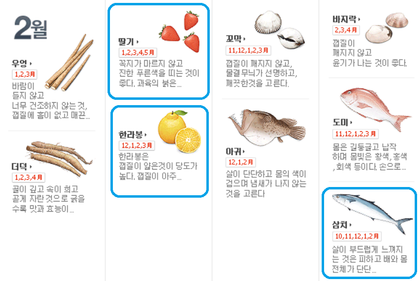 2월 제철음식 한라봉, 딸기, 삼치