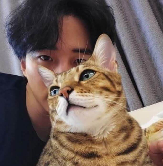 고양이와 함께 찍은 이준호 사진