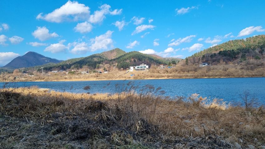 푸른 하늘 흰구름, 시퍼런 강물, 건너편에 나지막한 산들, 국도 따라 달리는 차량들, 강변 양쪽에 갈대밭,