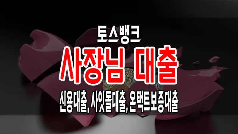 토스뱅크 사장님 신용대출&#44; 사잇돌대출&#44; 온택트보증대출 한번에 조회 신청