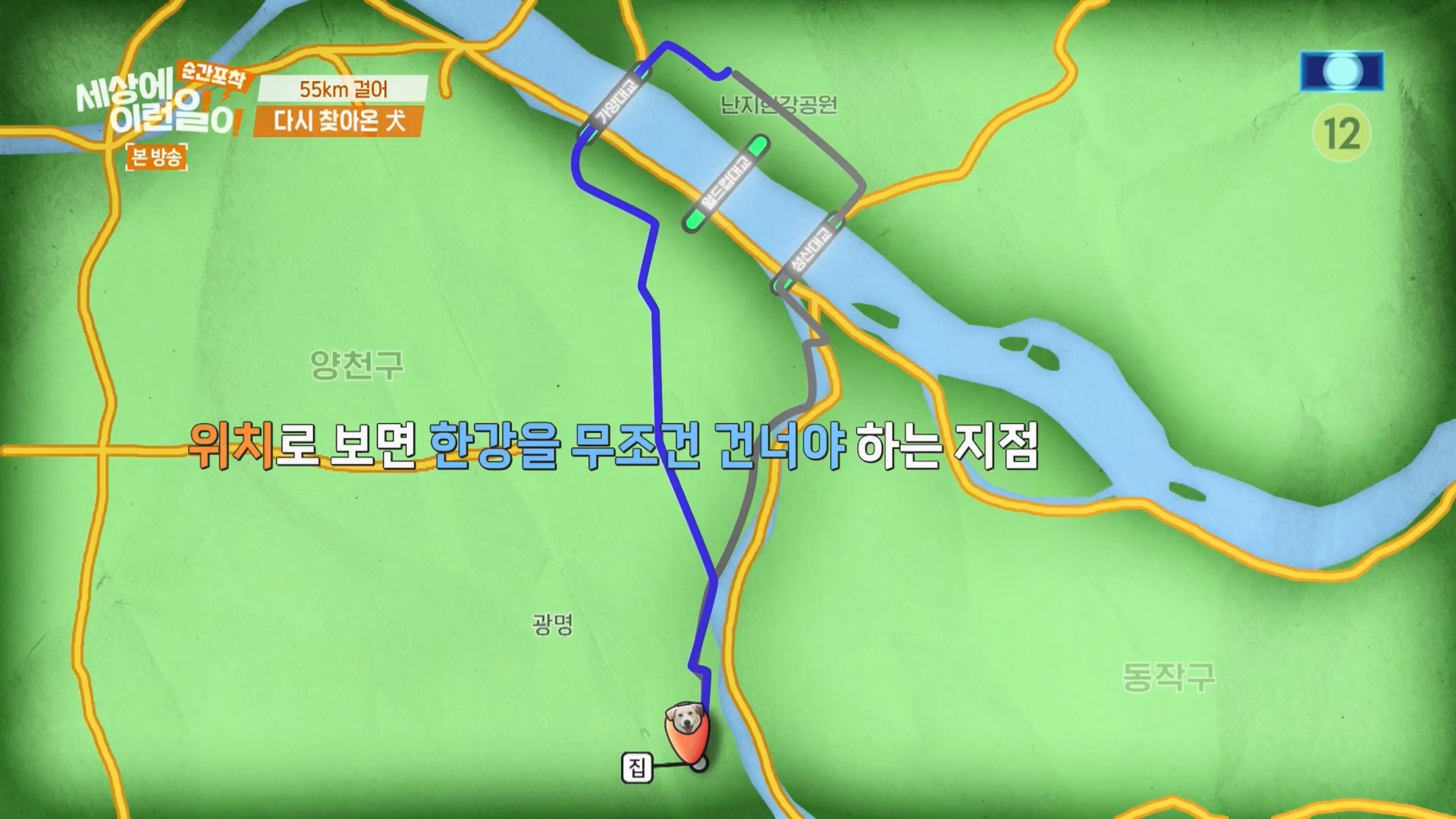 순간포착 세상에 이런일이.E1247.230923p.H264-F1RST.mp4_20230924_152707.248.jpg