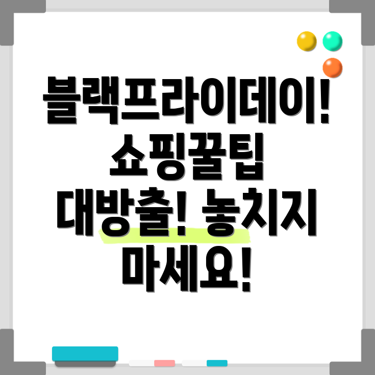 블랙프라이데이 쇼핑팁