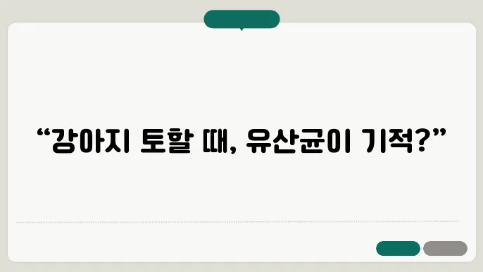 위장염 예방을 위한 유산균
