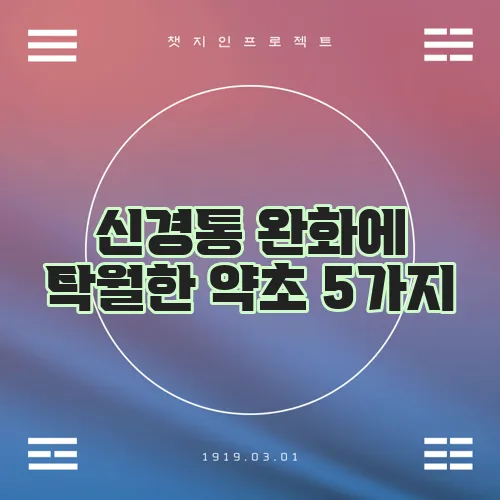 신경통 완화에 탁월한 약초 5가지, 꼭 기억하세요!