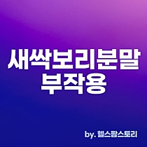 새싹보리 분말 부작용 썸네일